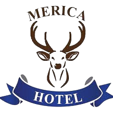 Logo 11